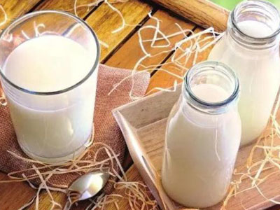 驼奶加盟介绍驼奶和牛奶的区别